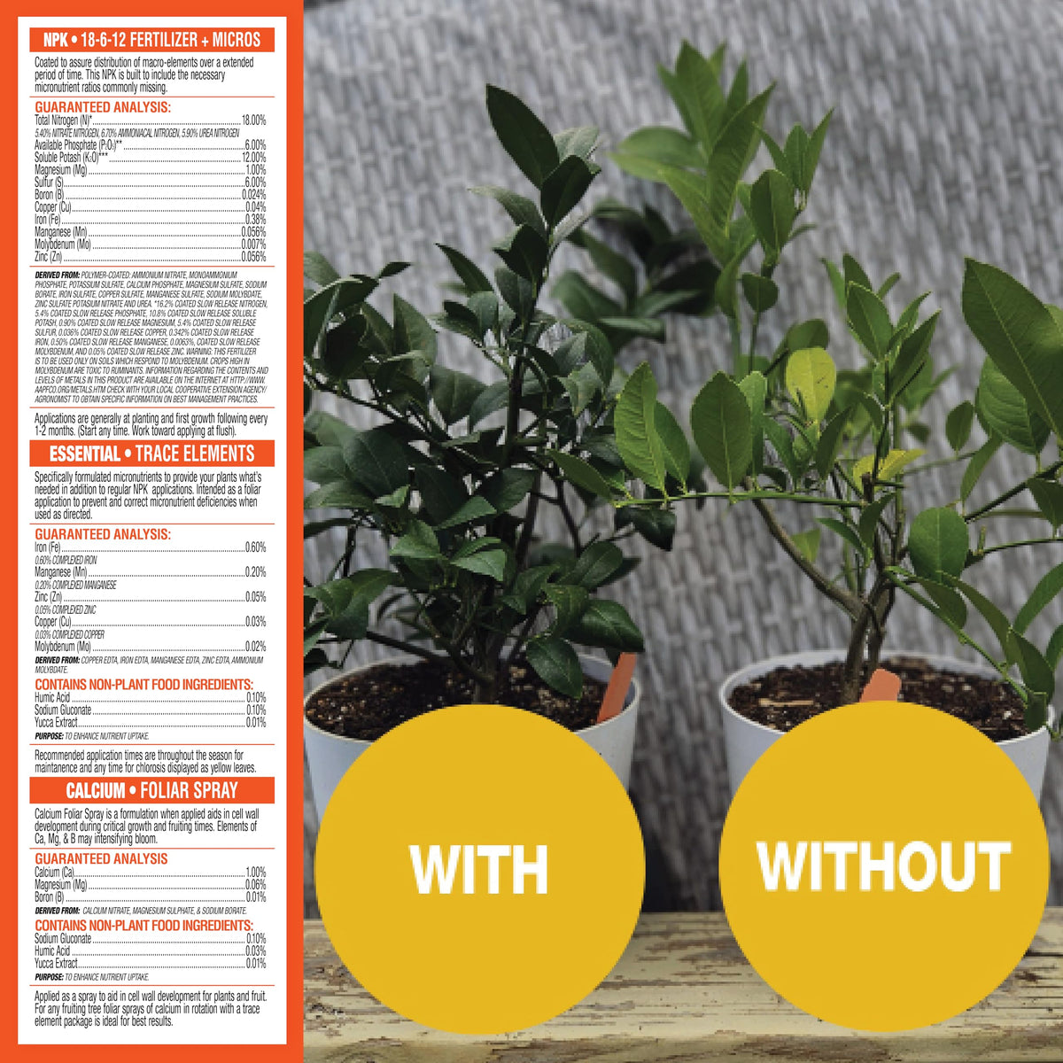 GrowScripts Citrus Fertilizer Kit keeps leaves green and prevents nutrient deficiencies