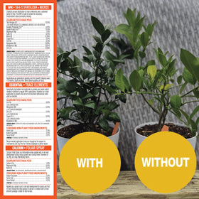 GrowScripts Citrus Fertilizer Kit keeps leaves green and prevents nutrient deficiencies
