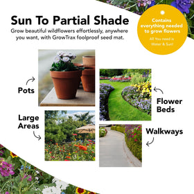 Growtrax wildflower mat showing bed-to-pathway display for vibrant color