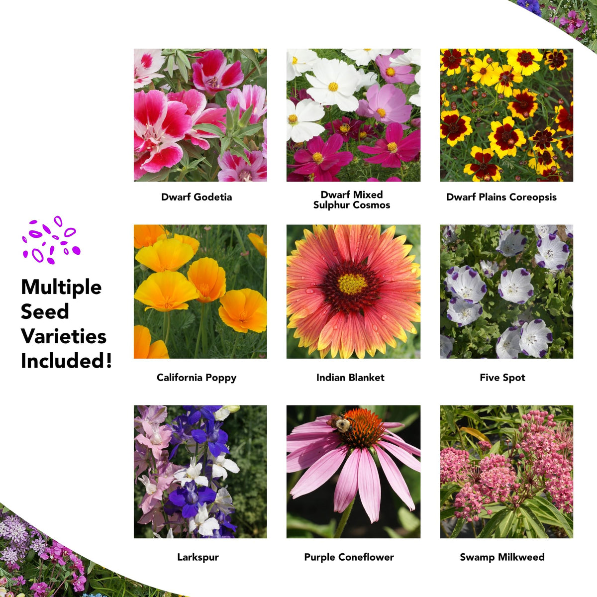 Growtrax seed mat attracting pollinators with butterflies and bees