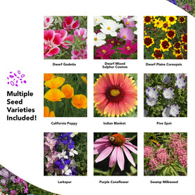 Growtrax seed mat attracting pollinators with butterflies and bees