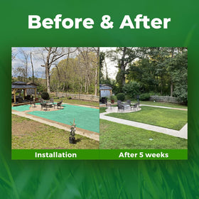 Growtrax biodegradable fabric secures seeds for stable germination.