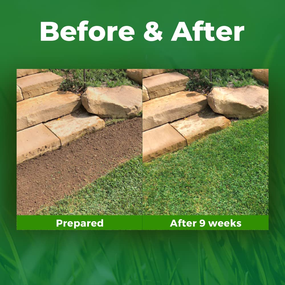 GROWTRAX lightweight roll designed for easy patch repairs across lawns.