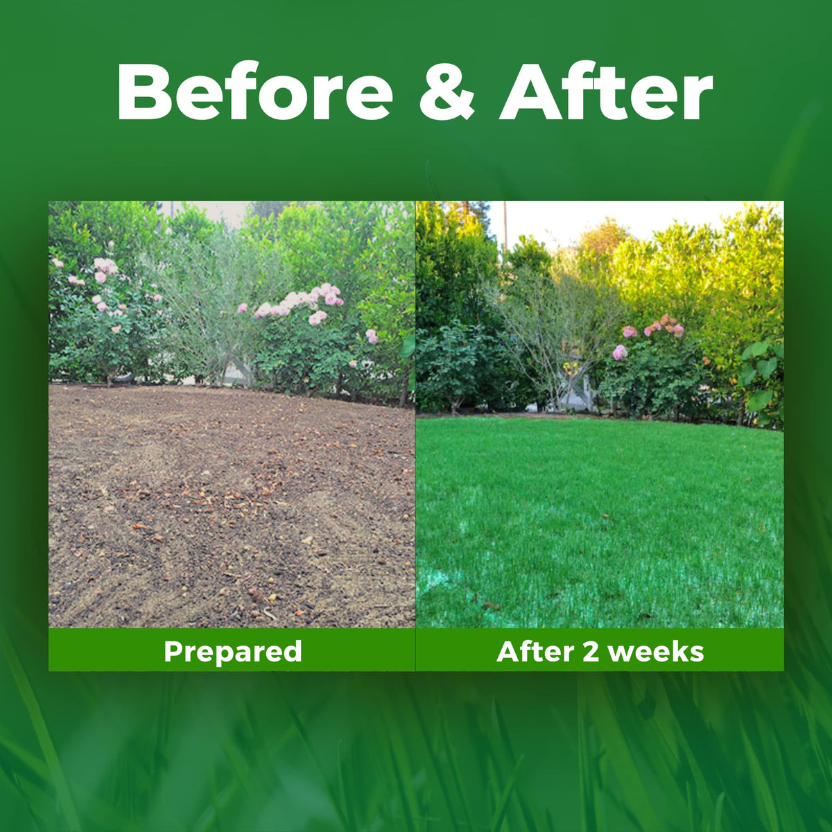 GrowTrax seed mat water absorption test highlighting drought resilience