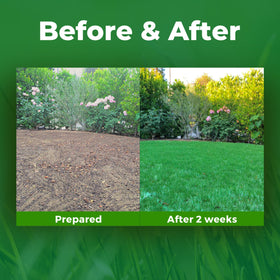 GrowTrax seed mat water absorption test highlighting drought resilience