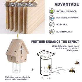 Removable vault feature visible for easy emptying and maintenance.