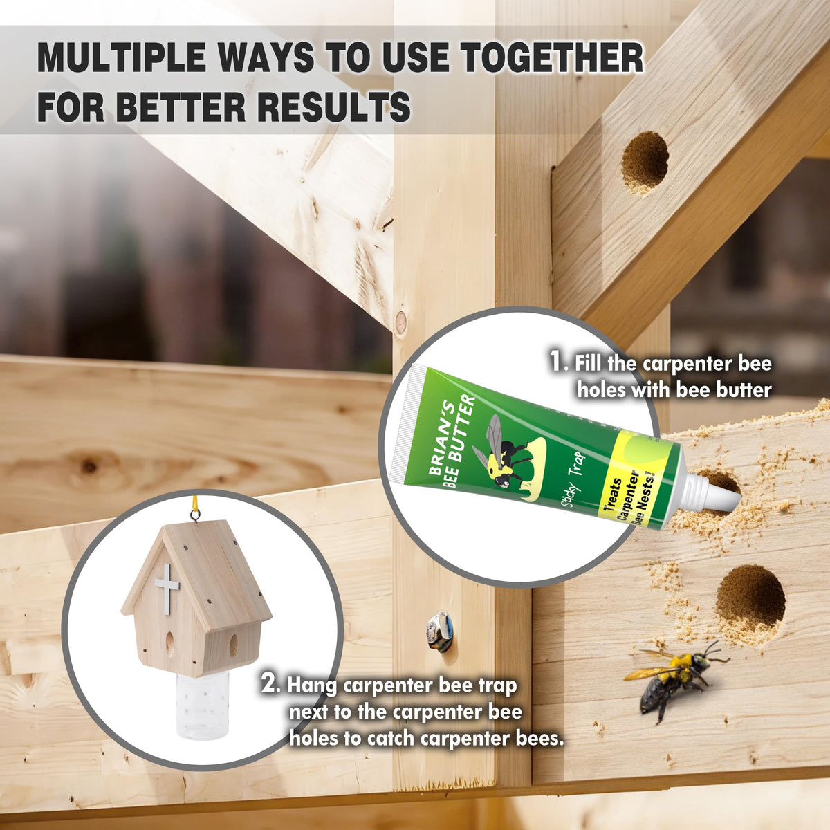 Trap hung above ground to exploit sun-loving carpenter bees.