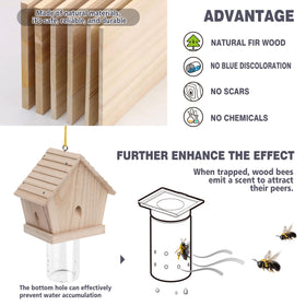 Trap hung 5–7 ft high facing south for best bee attraction