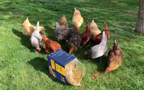 GRUBSFARM 1lb bag equals 10lbs of recycled food waste.