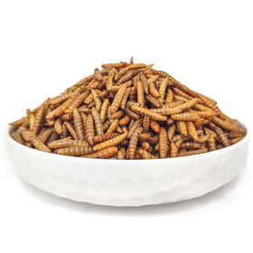 GrubsFarm HARTOMPET bird-friendly snack sourced from recycled food waste.