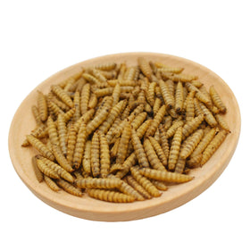 Sustainably sourced Hartompet from food waste recycling practices supporting responsible feeding