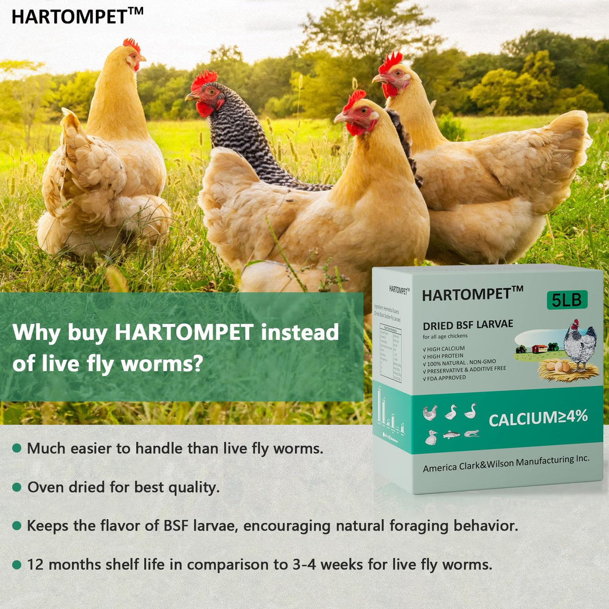 Close-up of Hartompet larvae highlighting protein-rich, natural snack for birds