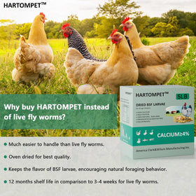 Close-up of Hartompet larvae highlighting protein-rich, natural snack for birds