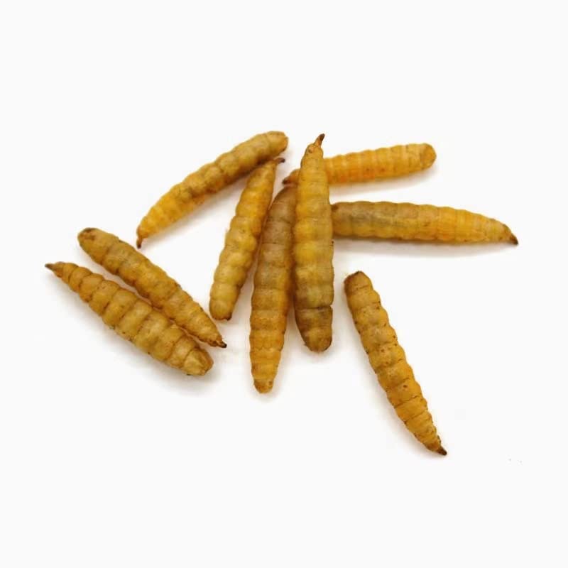 Stored Hartompet stays fresh on pantry shelves for feathery friends
