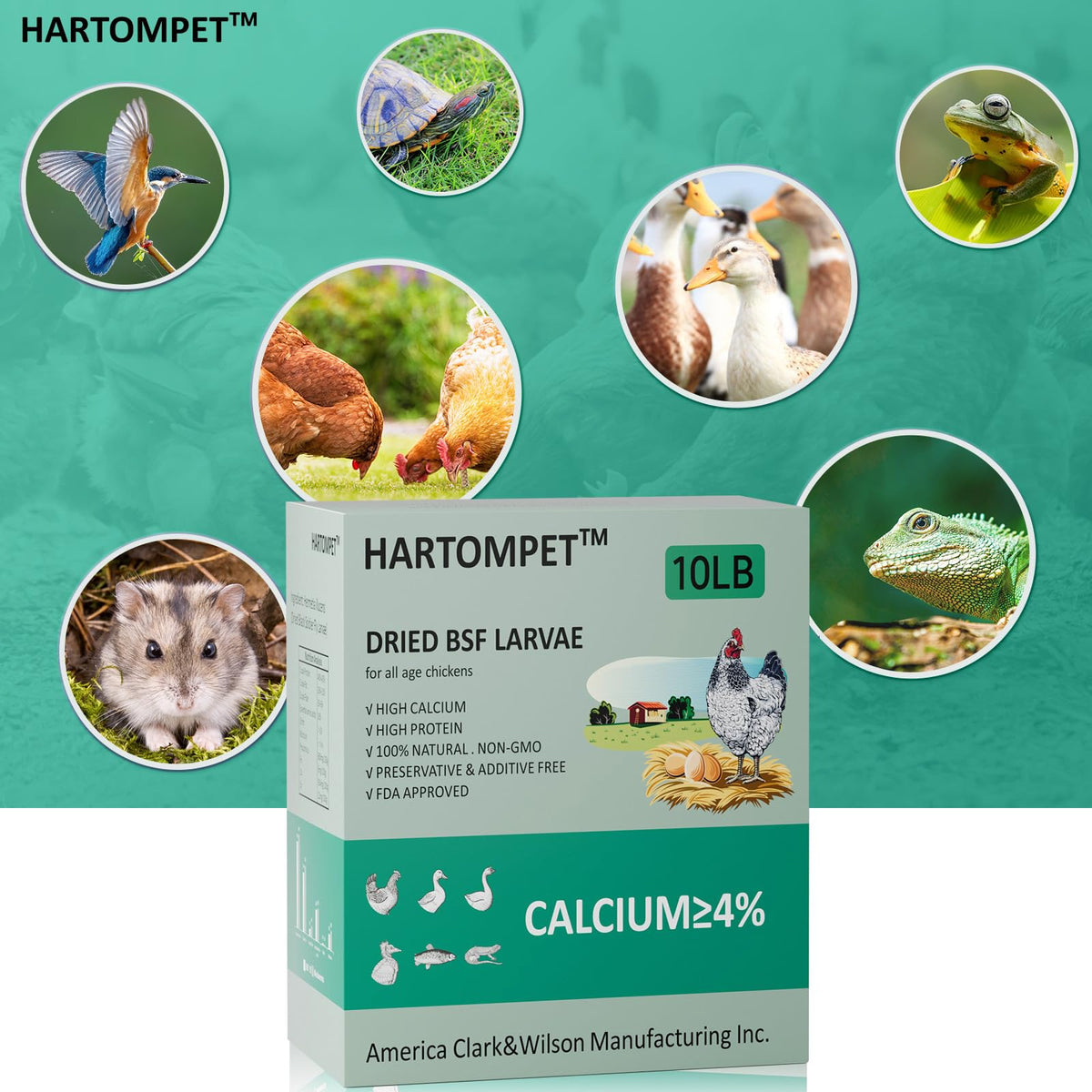 GrubsFarm HARTOMPET larvae treat ready to serve as a protein-rich snack.