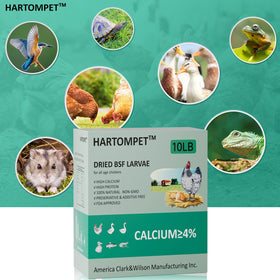 GrubsFarm HARTOMPET larvae treat ready to serve as a protein-rich snack.