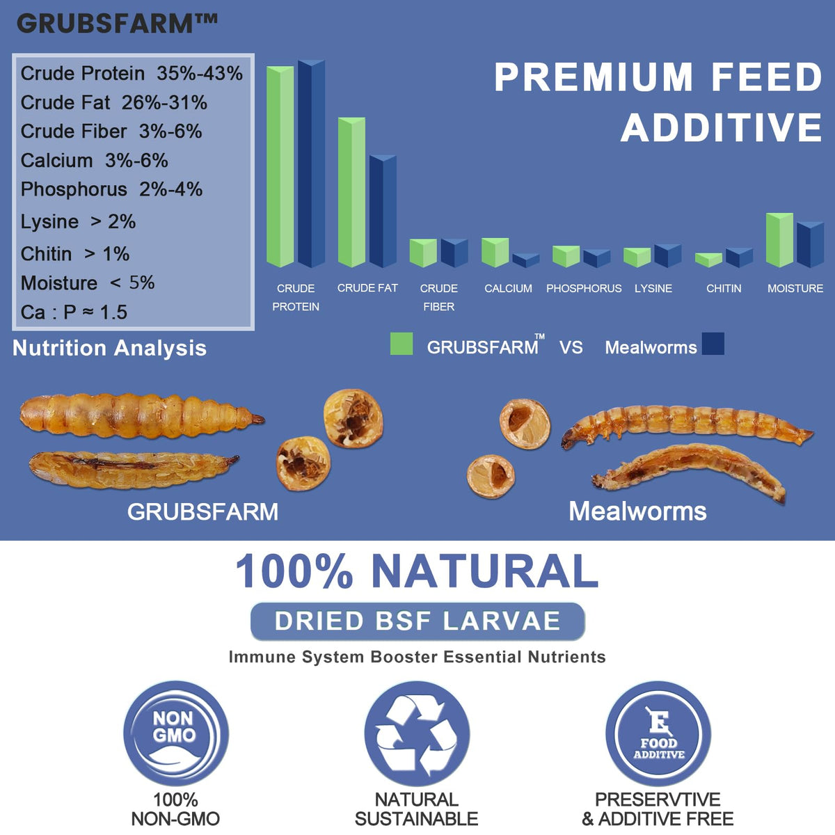 GRUBSFARM larvae poured into a chicken feeder, grain-free treat.