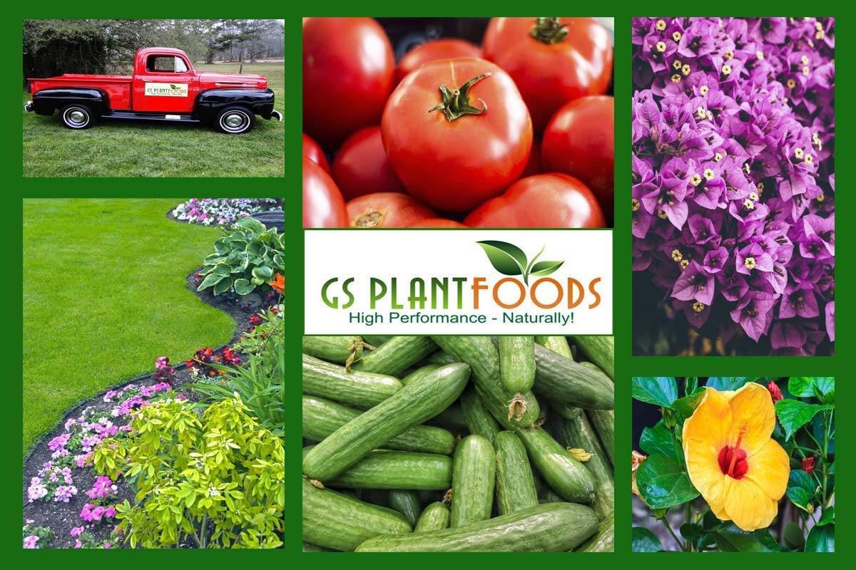 3 lb bag of GS Plant Foods fertilizer ready for garden feeding