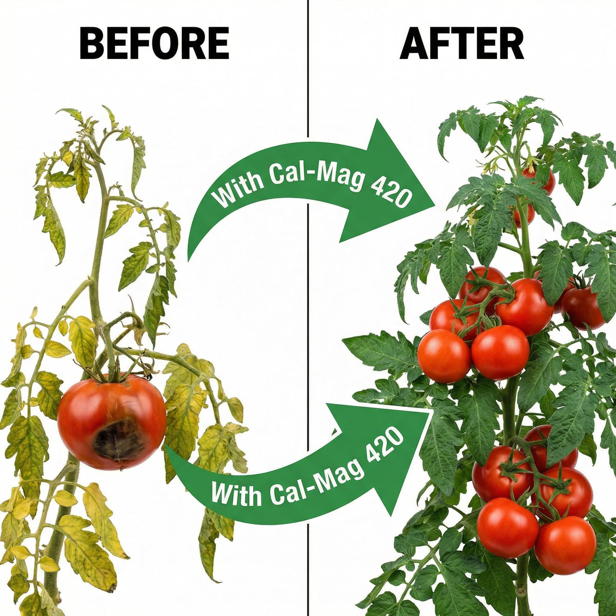 GS Plant Foods Cal-Mag 420 Dry suited for soil, coco and hydro growing systems.