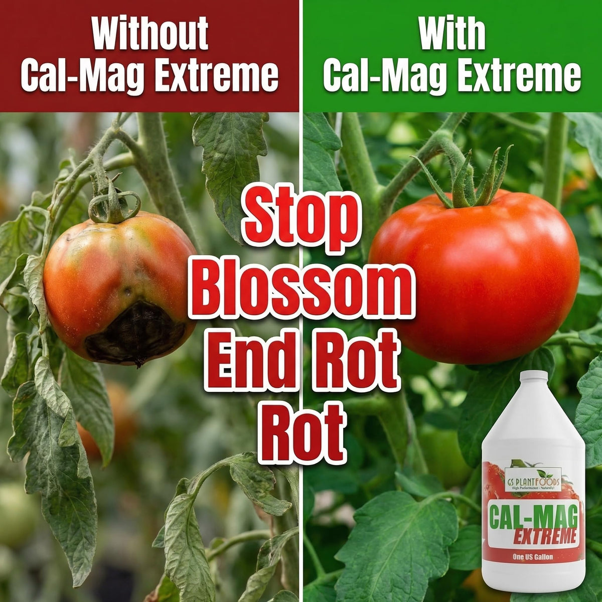 Close-up of GS Plant Foods Cal-Mag Extreme label showing nutrient balance