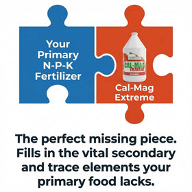 GS Plant Foods Cal-Mag Extreme root drench supporting healthy root zones