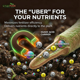 GS Plant Foods Humic Acid garden application demonstrates broad use cases.