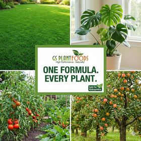 GS Plant Foods Humic Acid root-zone health supports balanced nutrient exchange.
