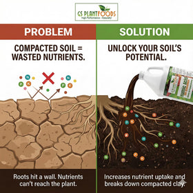 GS Plant Foods Humic Acid improves soil structure and nutrient access in the soil.