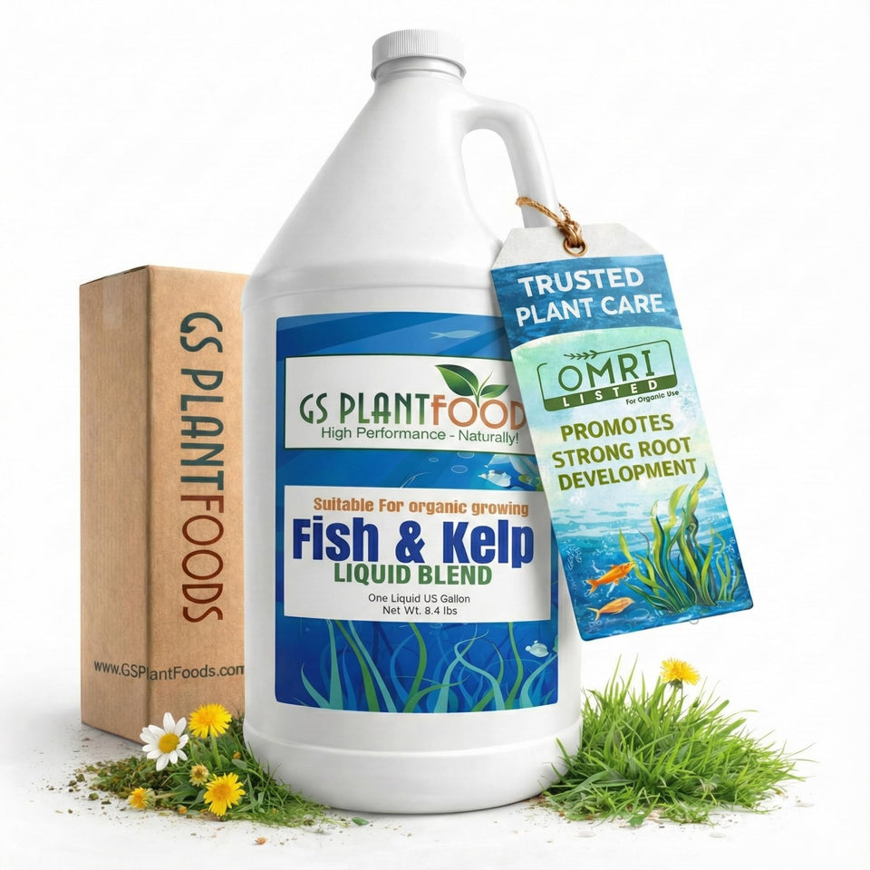 GS Plant Foods Liquid Fish & Kelp Fertilizer bottle boosts organic garden nutrition