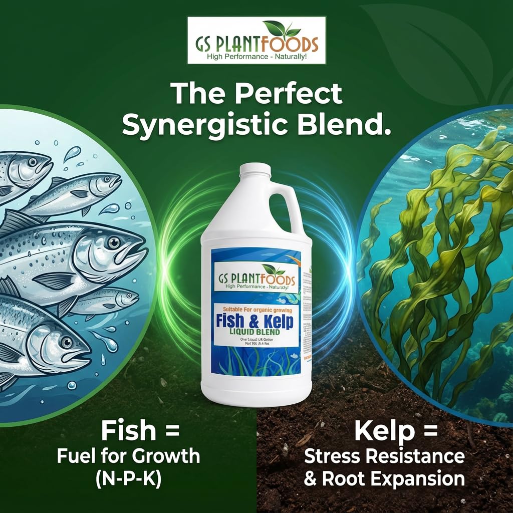 Pouring GS Plant Foods into water for foliar spray enhances leaf vitality