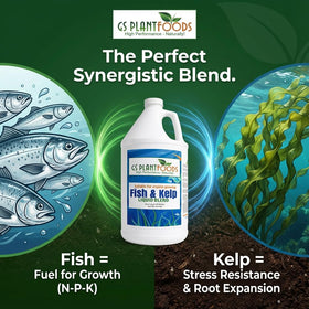 Pouring GS Plant Foods into water for foliar spray enhances leaf vitality