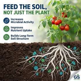 Lawn appears lush after GS Plant Foods application
