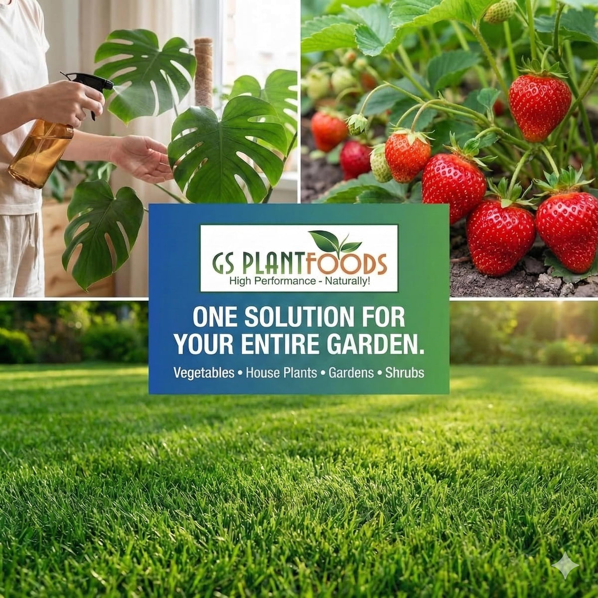 Vegetables thriving with GS Plant Foods Liquid Fish & Kelp Fertilizer