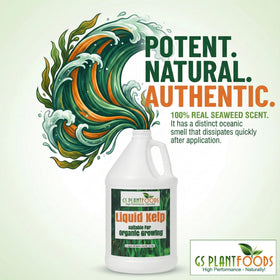GS Plant Foods Liquid Kelp covers 200+ gallons per quart, ideal for large gardens.