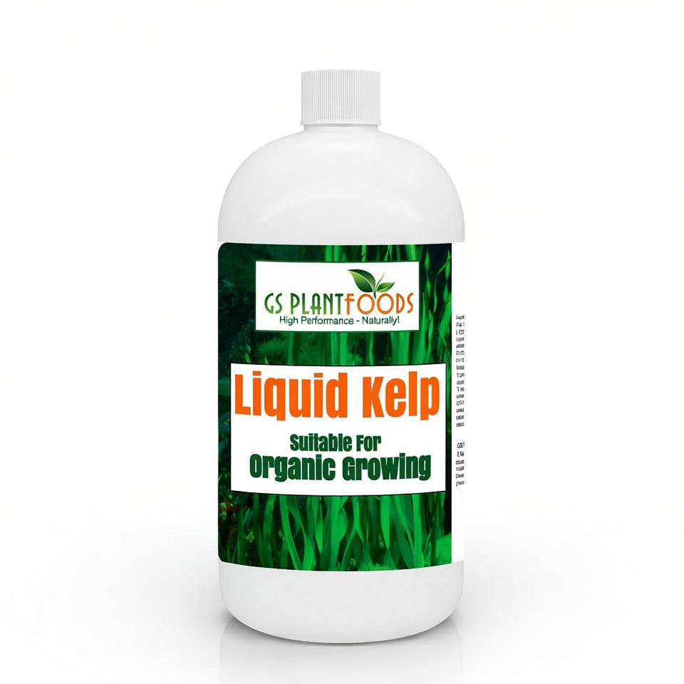 GS Plant Foods Liquid Kelp Fertilizer bottle front for organic growth and vibrant blooms.
