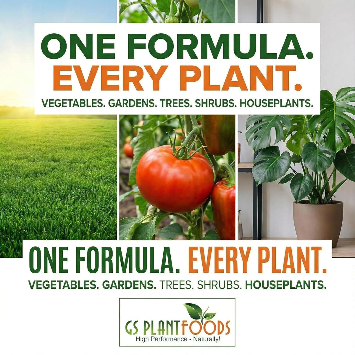 GS Plant Foods Liquid Kelp applied in a garden bed with healthy foliage.