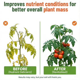 GS Plant Foods kelp used on vegetables for soil-friendly nutrition.