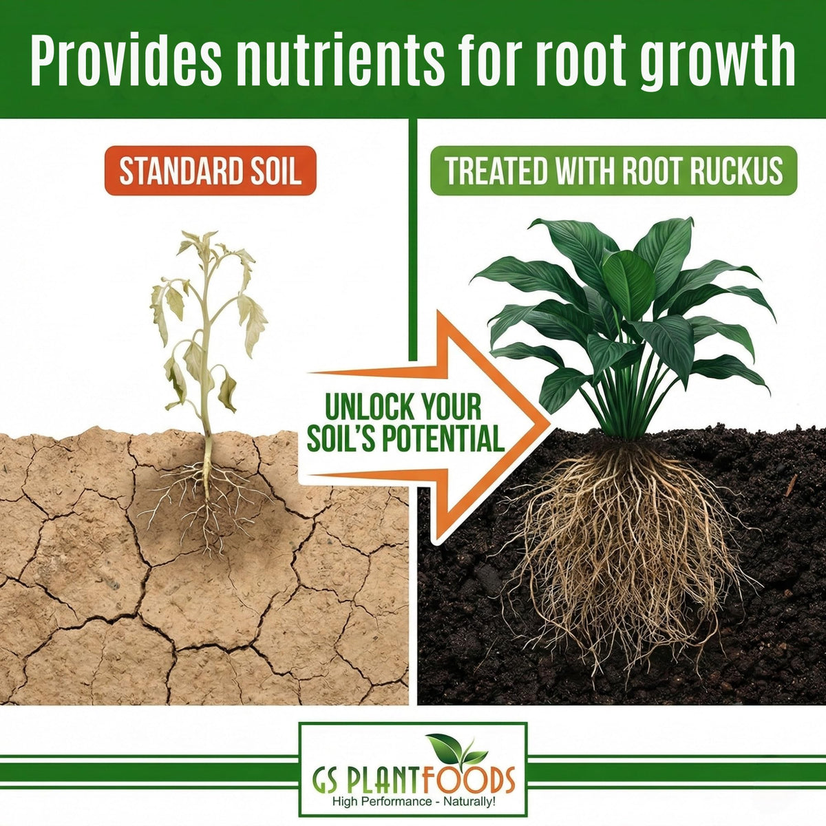 Root Ruckus foliar spray on leaves for improved vigor and color