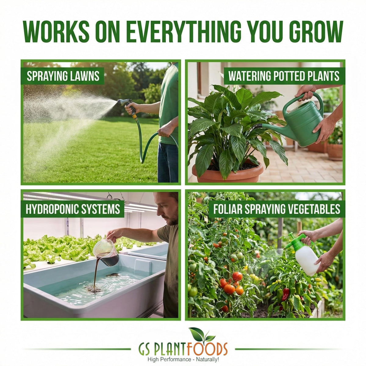 Hydroponic setup using Root Ruckus for steady nutrient delivery