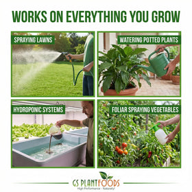 Hydroponic setup using Root Ruckus for steady nutrient delivery