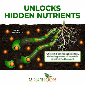 Root Ruckus soil drench being poured into a planter bed
