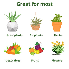 GS Plant Foods water-soluble fertilizer dissolving in water for easy application