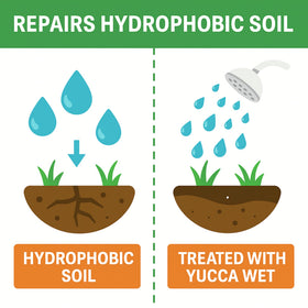 Root zone view showing Yucca Wet promoting deeper water and nutrient uptake.