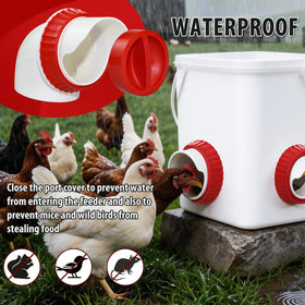 GSHWXD gravity automatic feeder ports ensure continuous, fresh-feeding for free-range chickens.