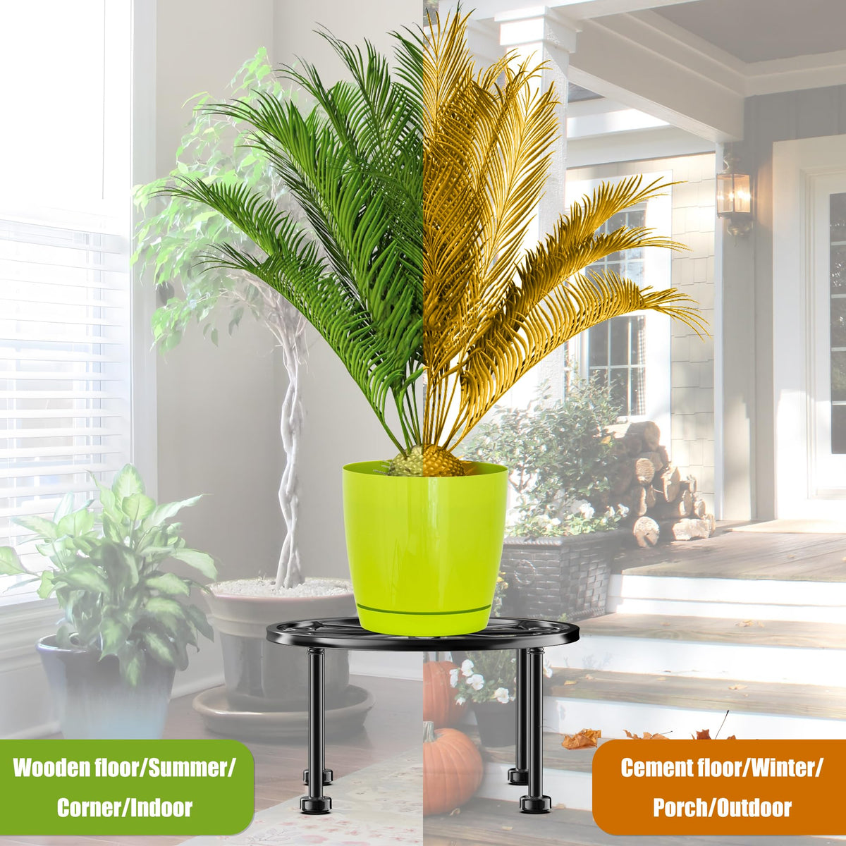 Gskeco 9-inch round platform highlights pots with modern flair.