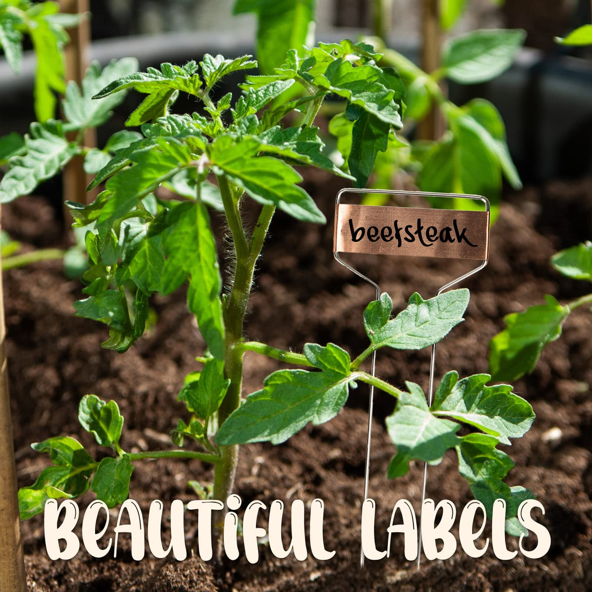 GSM Brands easy-to-insert plant labels keep beds organized.
