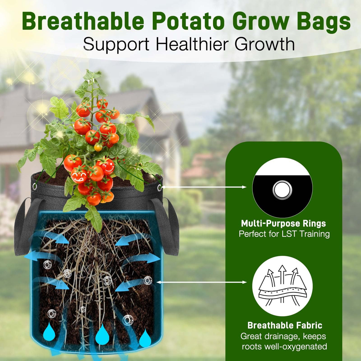 Gsonia non-woven fabric grow bags provide airflow and drainage to prevent waterlogging.