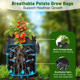 Gsonia fabric grow bag provides excellent drainage and airflow.