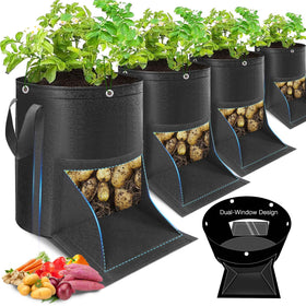 Gsonia potato grow bag with LST rings for even light exposure.