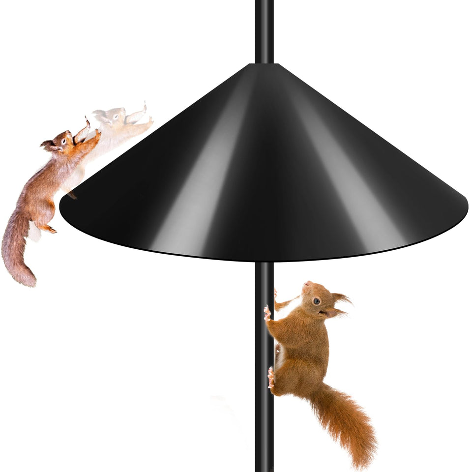Gtongoko 19inch squirrel baffle in full view protecting bird feeders